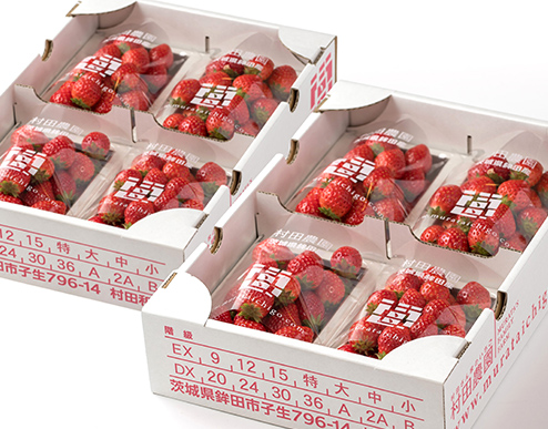 村田さん家のいちごパック(特選 大)